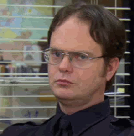 Dwight-Schrute-look-of-disapproval.gif
